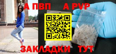 прущие грибы Камышлов