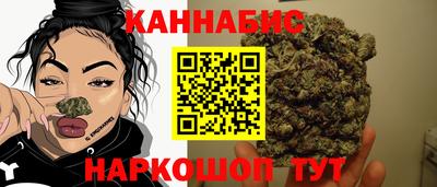 прущие грибы Камышлов