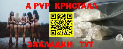 прущие грибы Камышлов